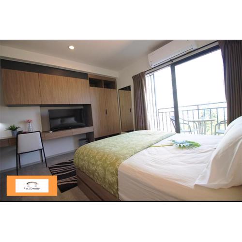 Rose 'Lacasita Huahin