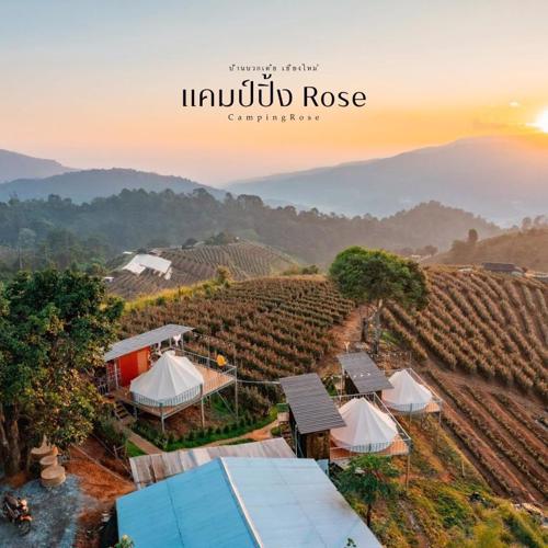 แคมป์ปิ้ง Rose