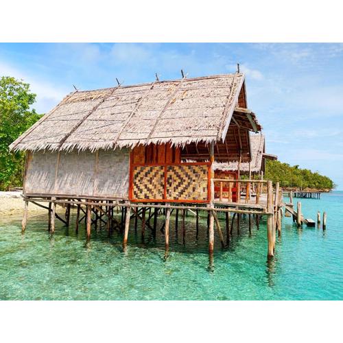 Rosye homestay raja ampat