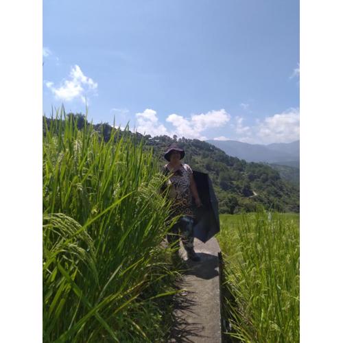 Rowena's Maligcong Homestay