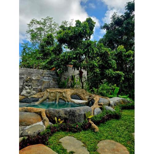 Royal Amertha Ubud Jungle View