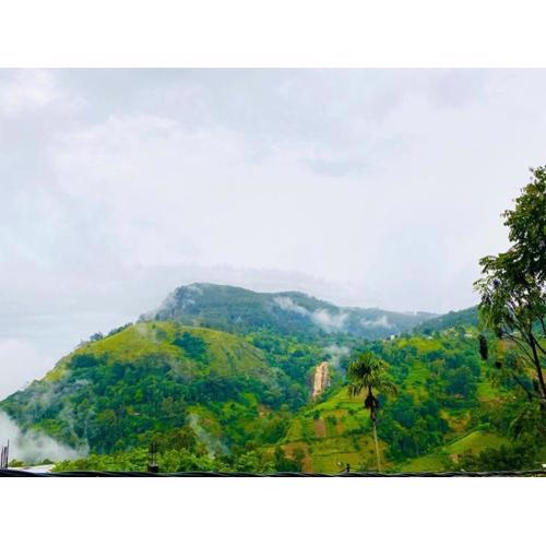 Royal homestay at Misty Mountain