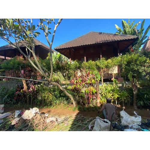 Rumanero Bungalows #2