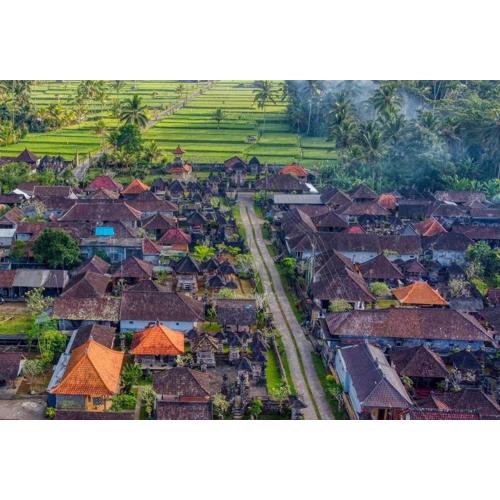 Rural Atmosphere at Bali Coconut House in Delodsema Village