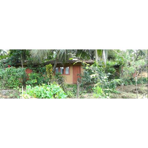 Rural Jungle Backpackers Hostel