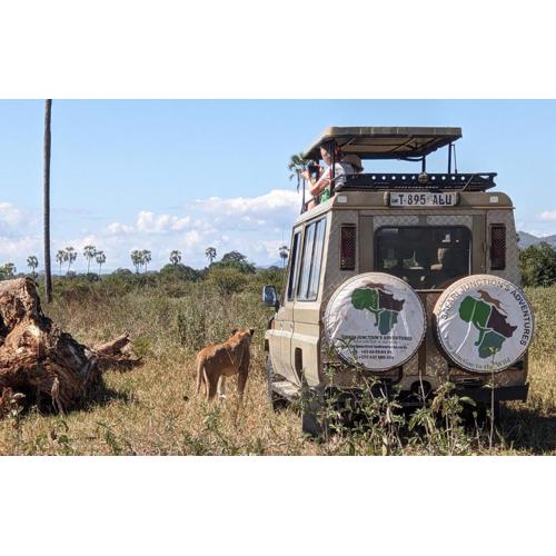 Safari Junction Backpackers hostel