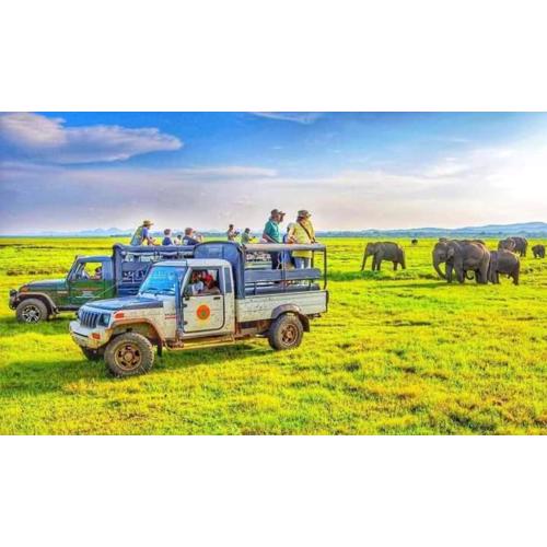 Safari Olee Villa
