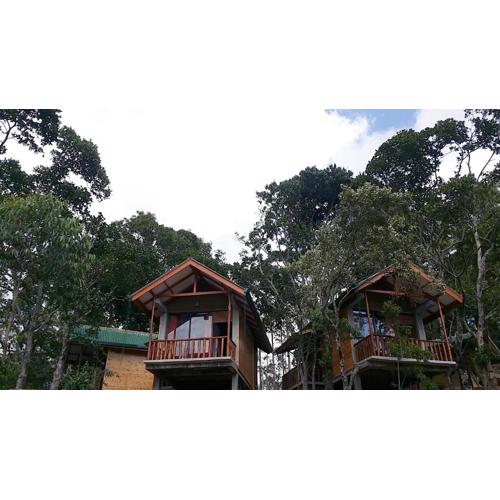 Saffron Eco Cottage
