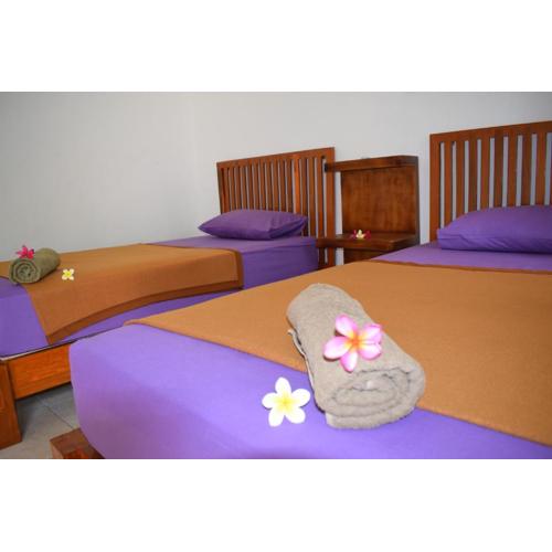 Safsia homestay