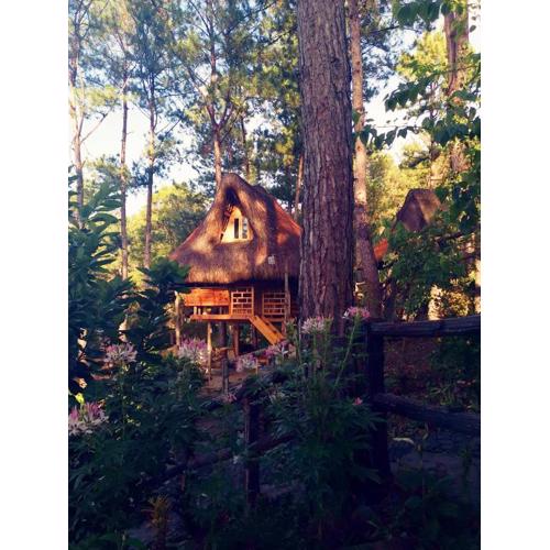 Sagada Heritage Village