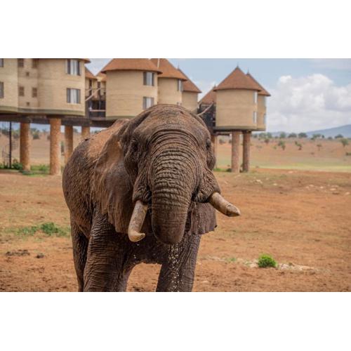 Salt Lick Safari Lodge