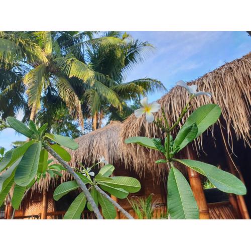 SAME SAME Bungalows - ECO Friendly