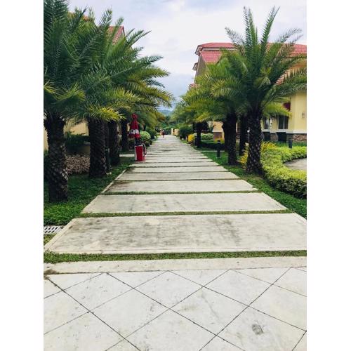 San Remo Oasis, Citta De Mari