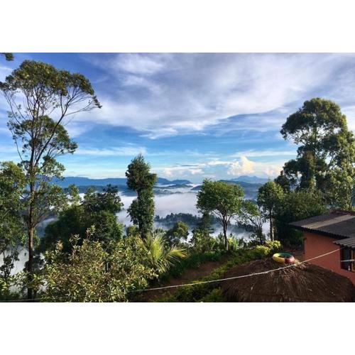 Sana's homestay haputhale