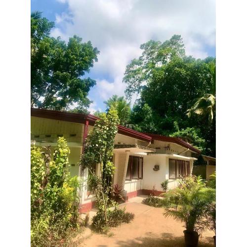 Sanasuma Ayurveda Homestay