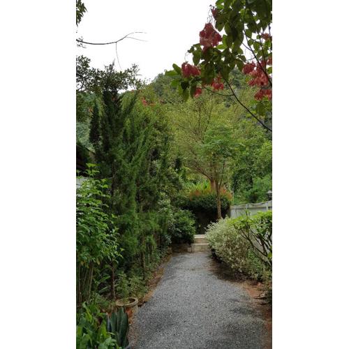 Sanfhan Resort-SHA Plus