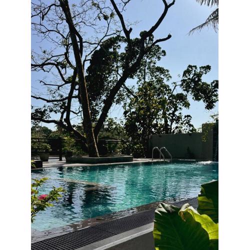 Sapiens home - Weligama bay