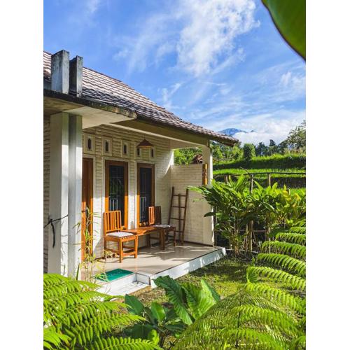 Sarang Walet Homestay