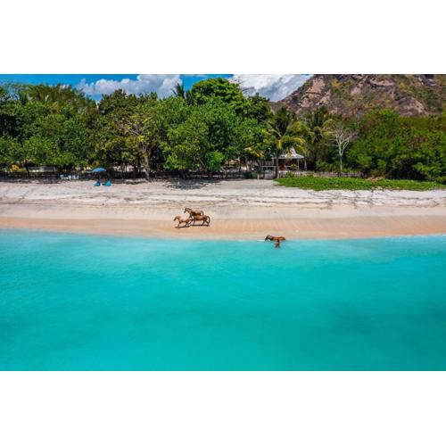 Scar Reef Resort - Beachfront Paradise HALF BOARD or NIGHT STAY