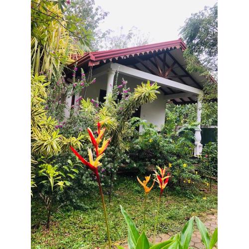 Scenic Cottage Sigiriya
