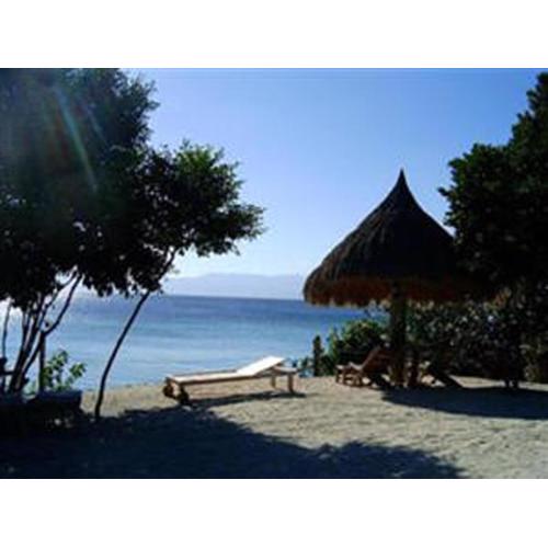 Sea Turtle House Moalboal