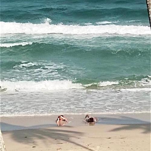 SEA VIEW BEDs บ้านบอส หาดทุ่งวัวแล่น ชุมพร