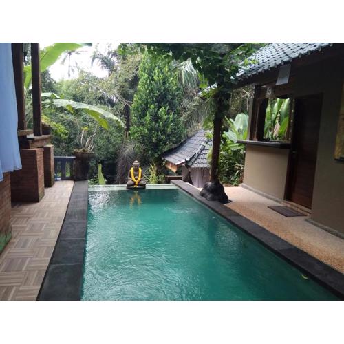 Secluded jungle villa w private pool & serene view