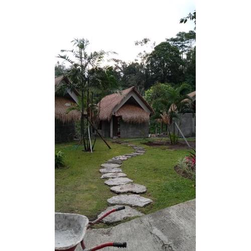 Secret forest waterfall retreat