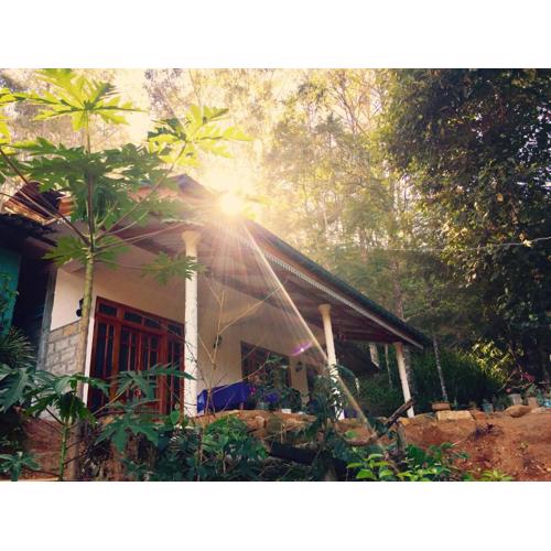 Secret Nest Homestay