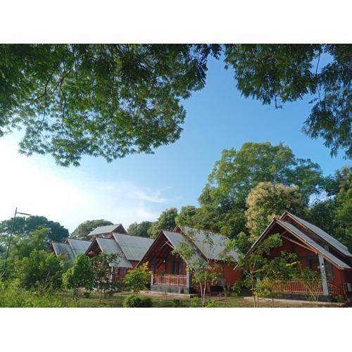 Seeing Green Udawalawa