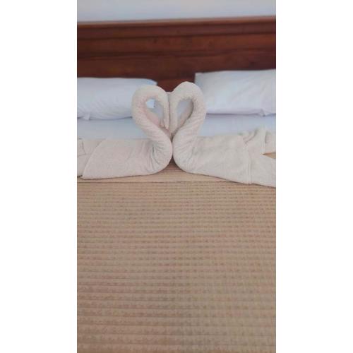 seetha beach hotel negombo