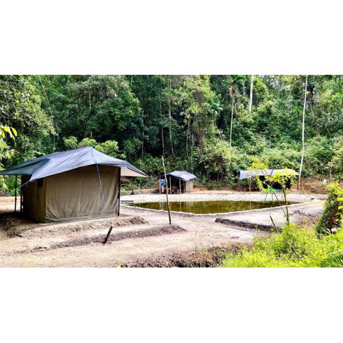 Sefia Cabanas - Kottawa