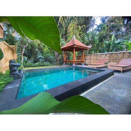 Semana Jungle by SHM