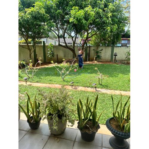 Semi Luxury apartments in Wattala