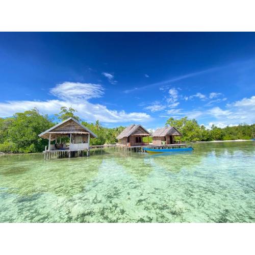 Senjahomestayrajaampat