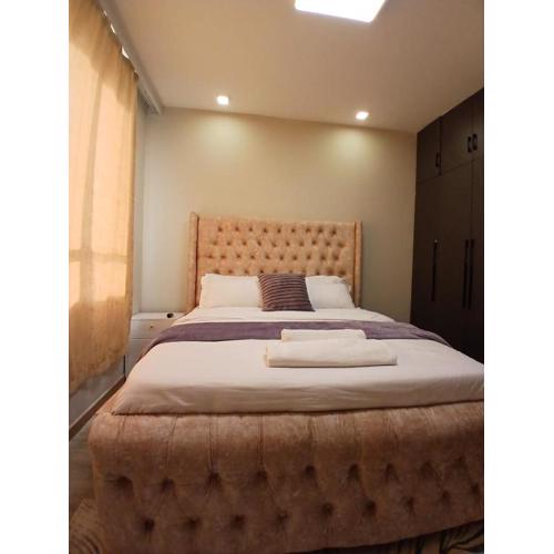 Serene homes studio apartment syokimau