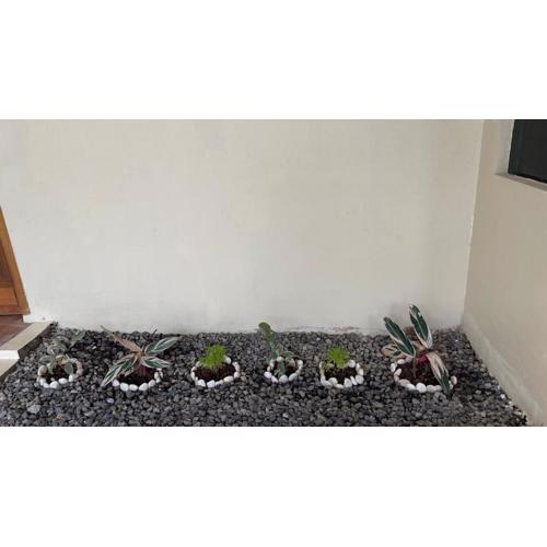 Serene Japandi Ryokan - Green Staycay in Jakarta