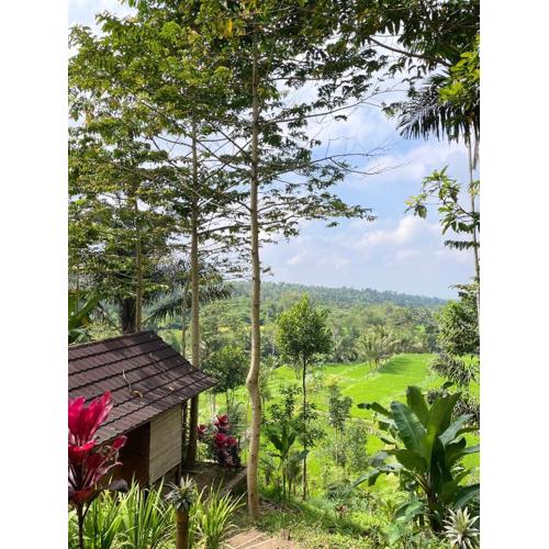 Serenity Lodge Tetebatu Lombok