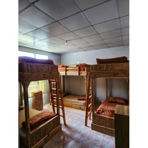 Seven Nine Hostel - Calm place to sleep