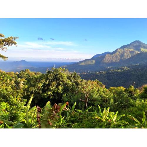 Shambala Retreat-Villa in Ella with mountain & Waterfall Views