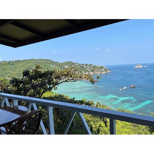 Shark Bay room Turtle