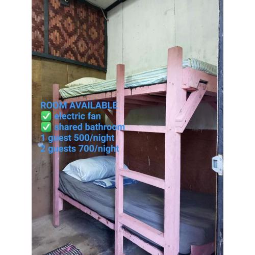 sharkbunkbed siargao