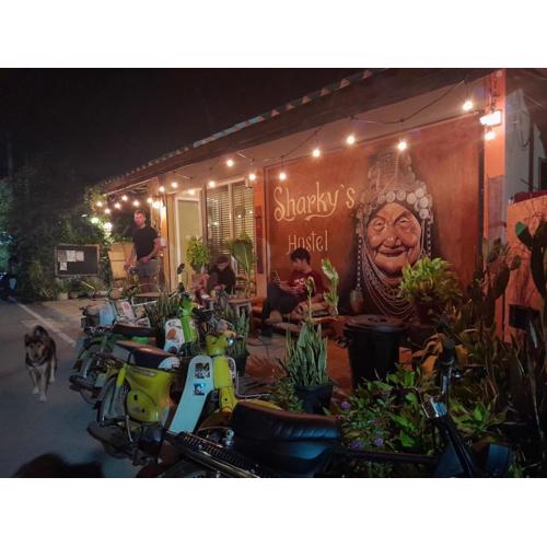 Sharky's Hostel