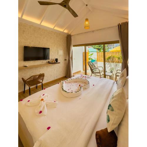 Shell Curves Thoddoo