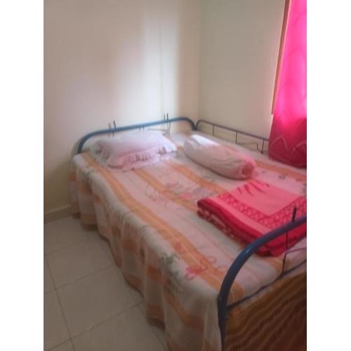 Shelther Mise En Place