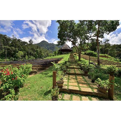 Sheridan Organic Farm and Resort