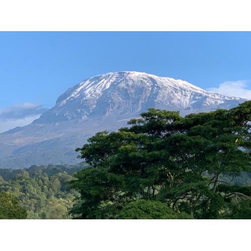 Shimbwe Meadows Home