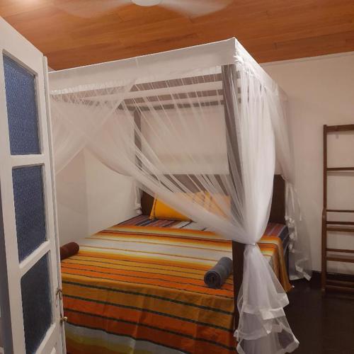 Shoba Traveller's Tree Homes stay