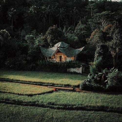 Sidemen Luxury Nyan Bali - Bamboo House