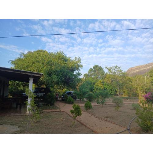 Sigiri Arana Sigiriya